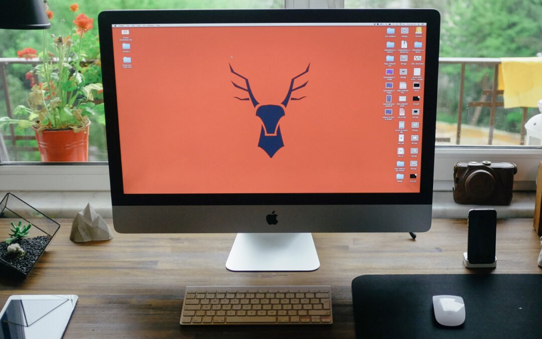 Phasellus mollis eros at rhoncus dignissim